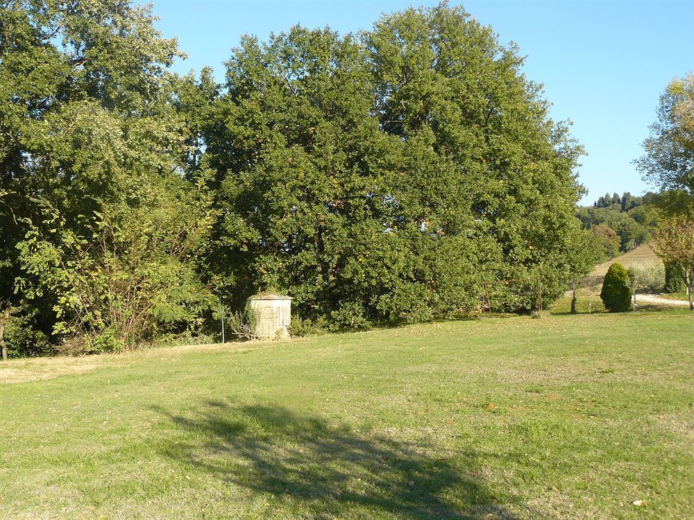 Outdoor Pictures 17