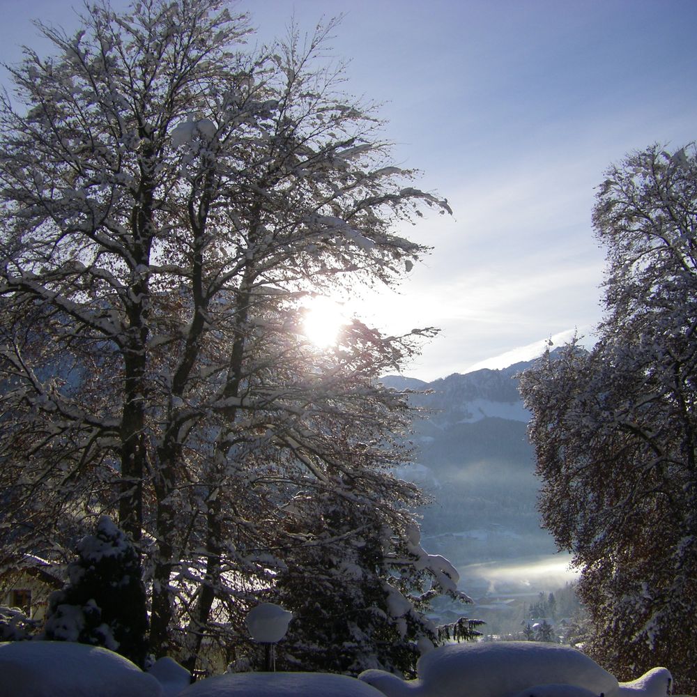 Outdoor Pictures 20