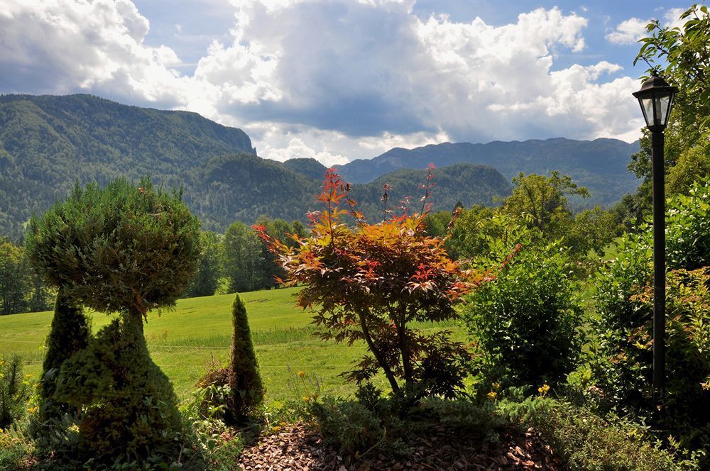 Outdoor Pictures 22