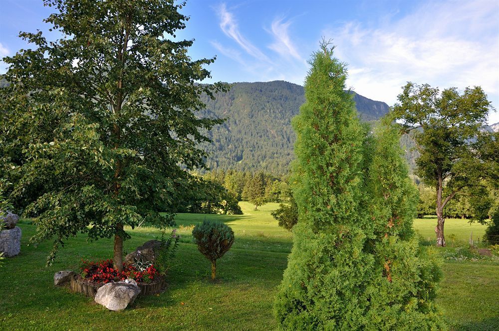 Outdoor Pictures 21