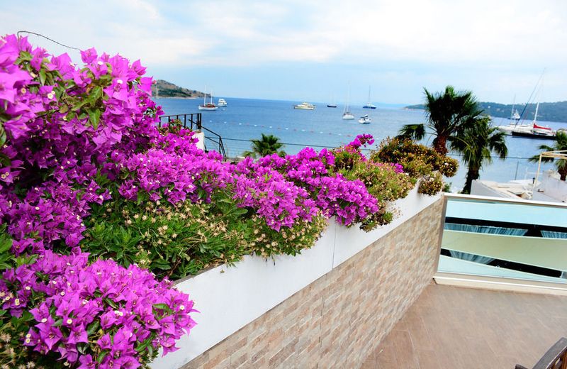 Elista Hotel & Spa