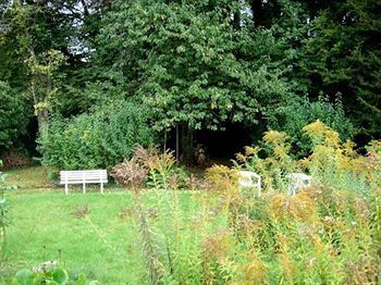Outdoor Pictures 21