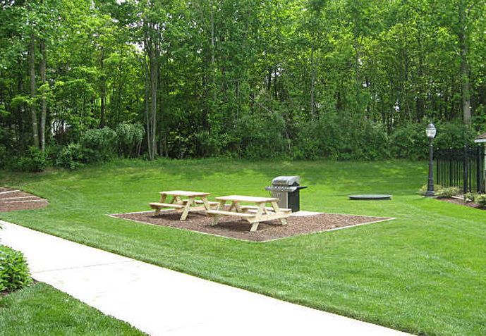 Outdoor Pictures 19