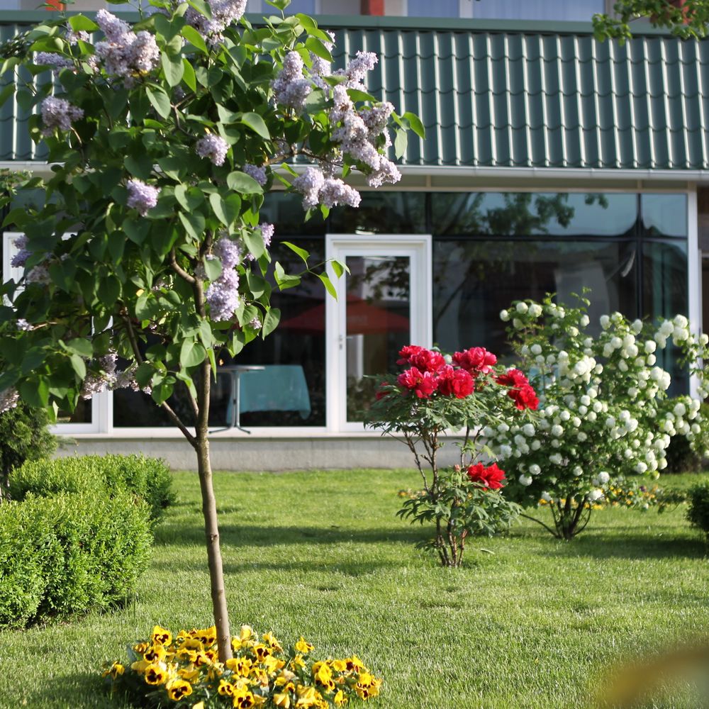Outdoor Pictures 2