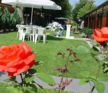 Outdoor Pictures 21