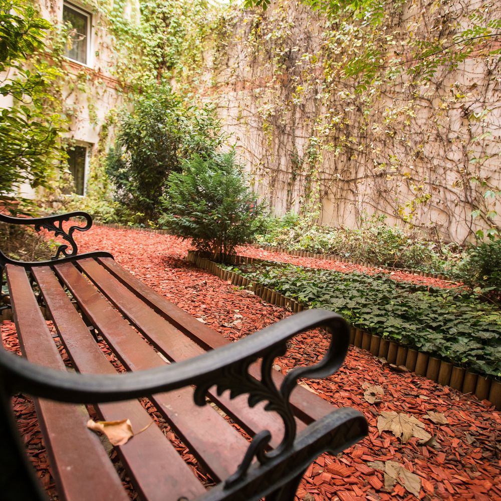 Outdoor Pictures 22