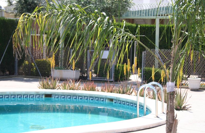 Hotel Playa Canet