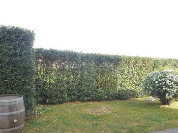 Outdoor Pictures 22