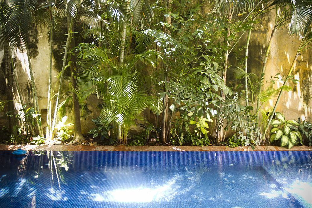 Hotel Quadrifolio