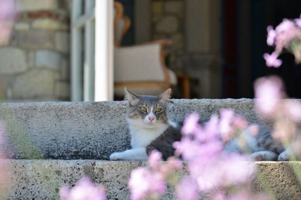 Outdoor Pictures 13