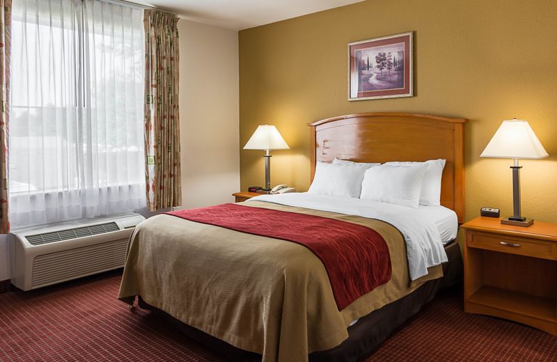 Comfort Inn & Suites Chesapeake - Portsmouth