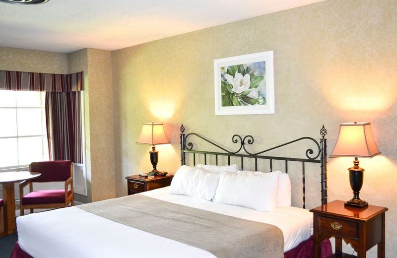 The Village Green - Pet-Friendly Hotel