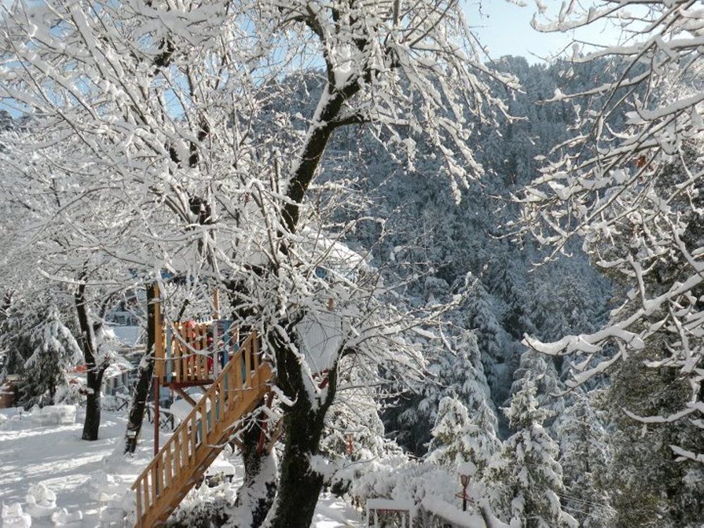 Outdoor Pictures 20