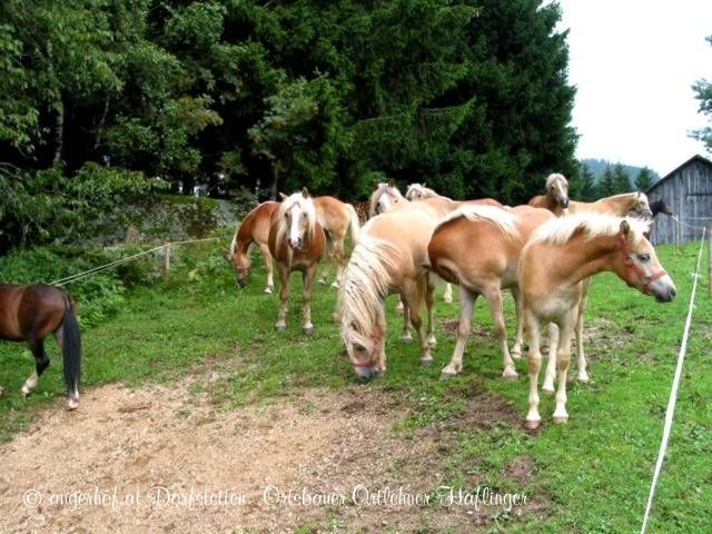Outdoor Pictures 19