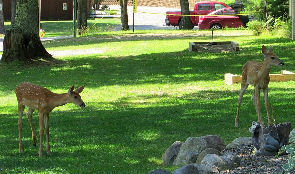 Outdoor Pictures 15