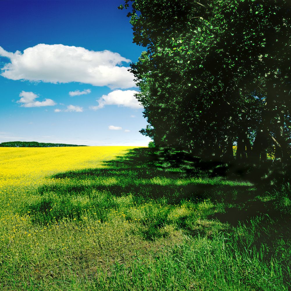Outdoor Pictures 21