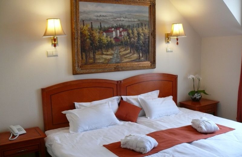 Hotel Bellevue Esztergom