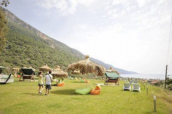 Outdoor Pictures 24