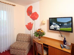 Hotel Image 5