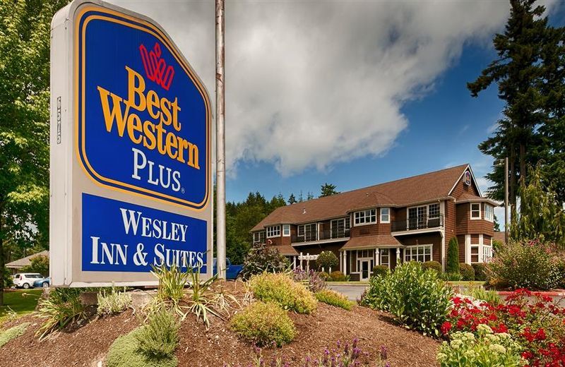 Best Western Wesley Inn & Suites