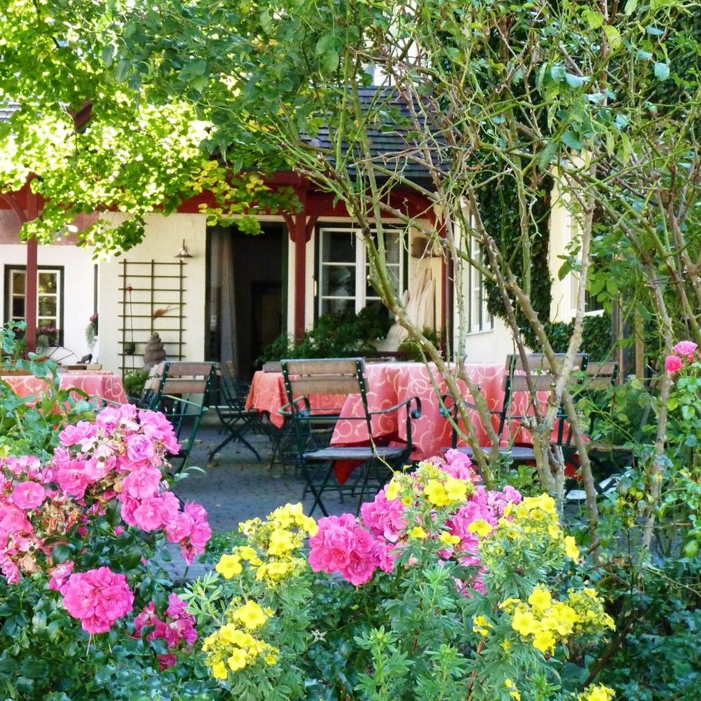Outdoor Pictures 22