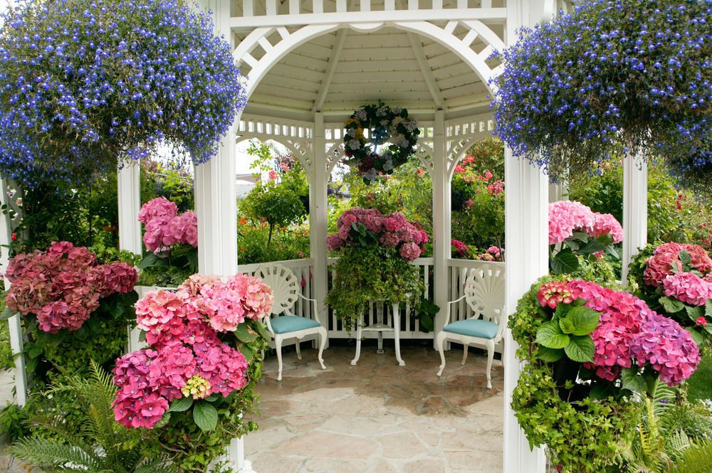 Outdoor Pictures 24