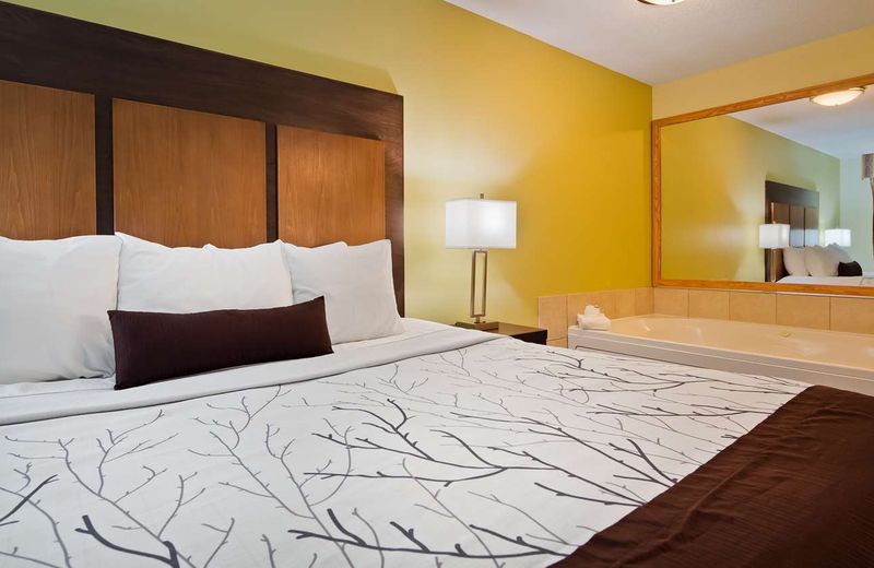 Best Western Plus Holland Inn & Suites