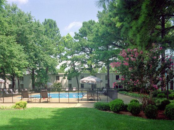 Outdoor Pictures 21