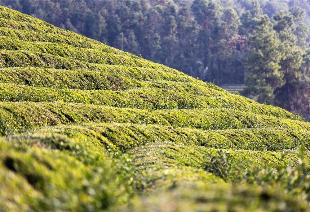 Outdoor Pictures 20