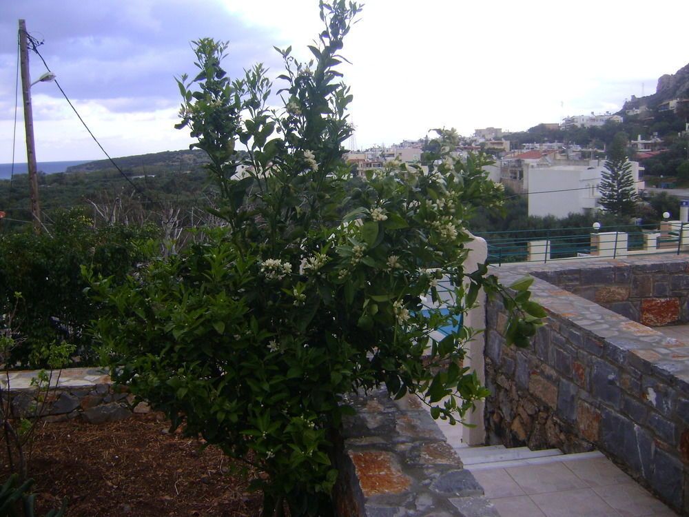 Outdoor Pictures 13