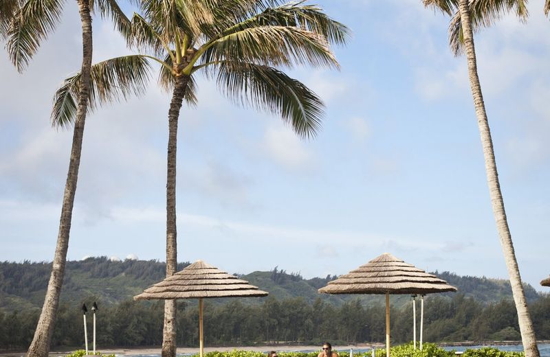 Turtle Bay Resort