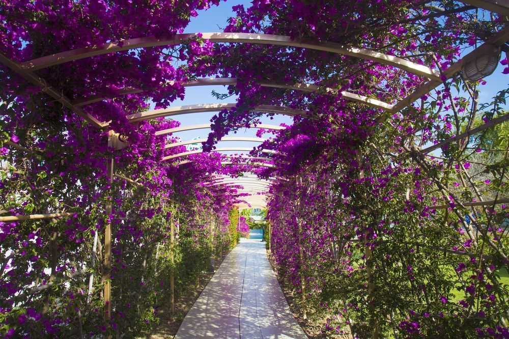 Outdoor Pictures 20
