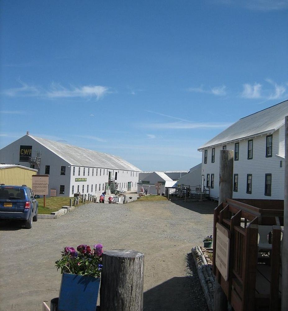 Outdoor Pictures 1