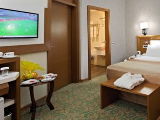 Hotel Image 4
