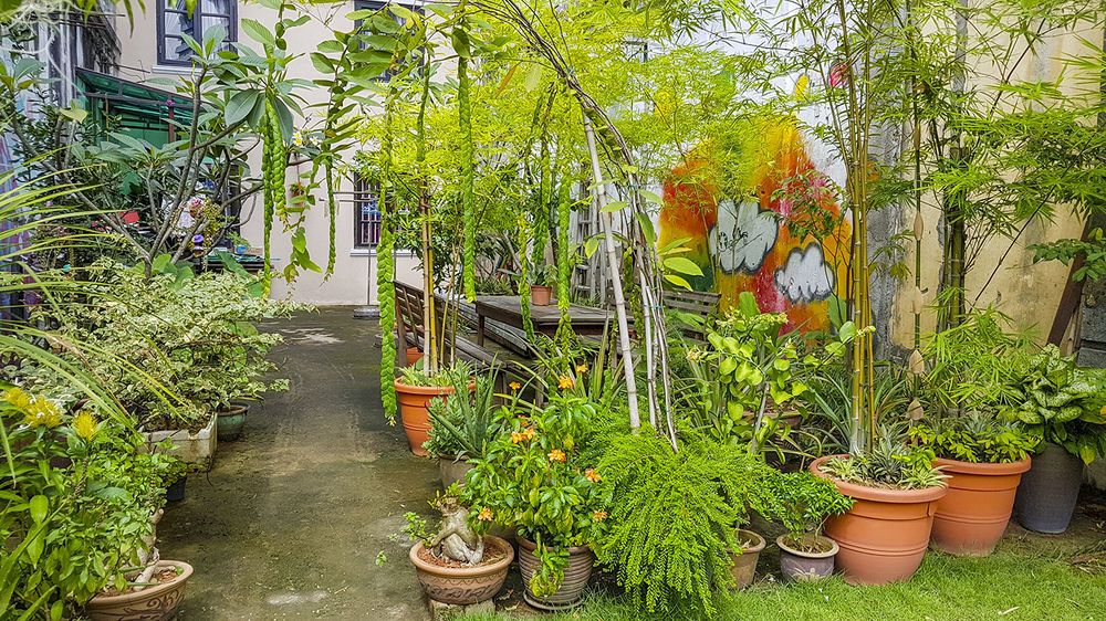 Outdoor Pictures 24