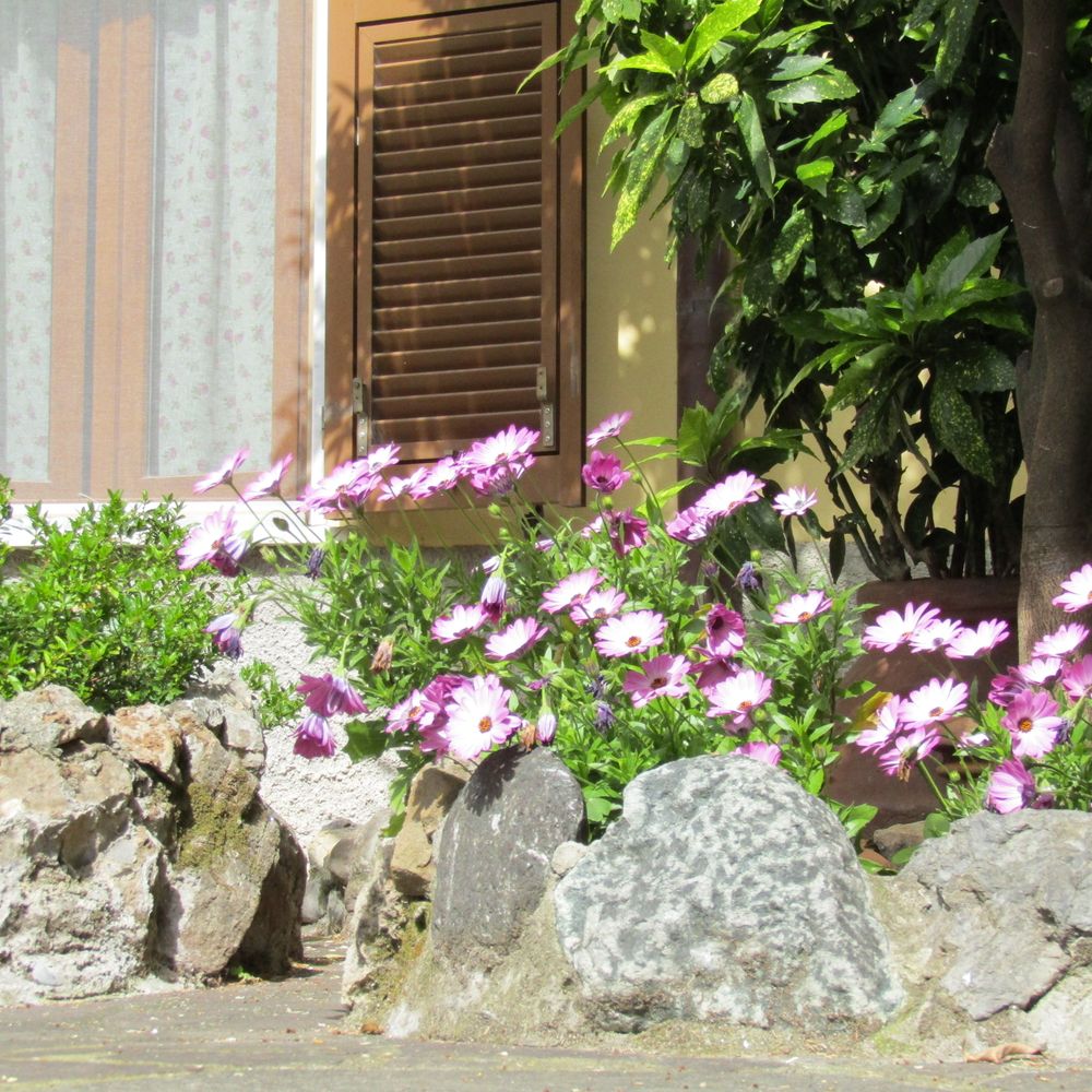 Outdoor Pictures 7