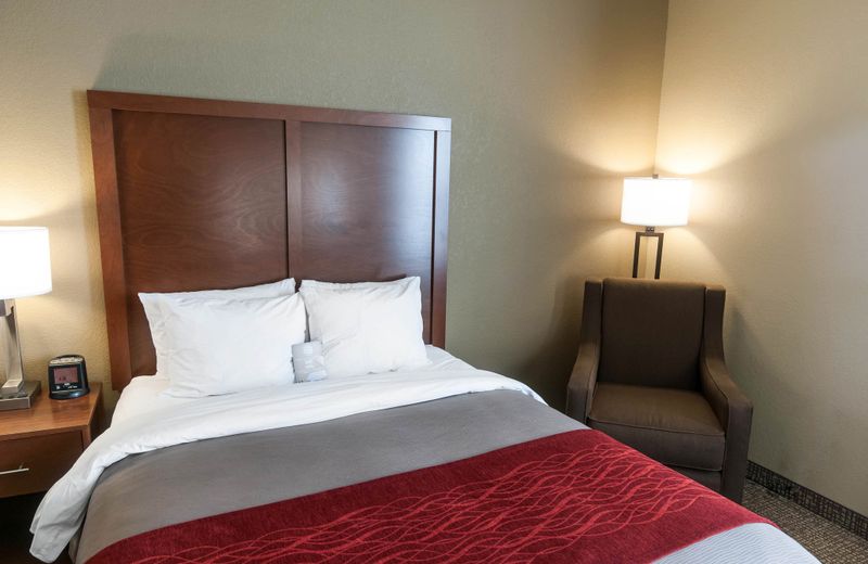 Comfort Inn & Suites LaGrange