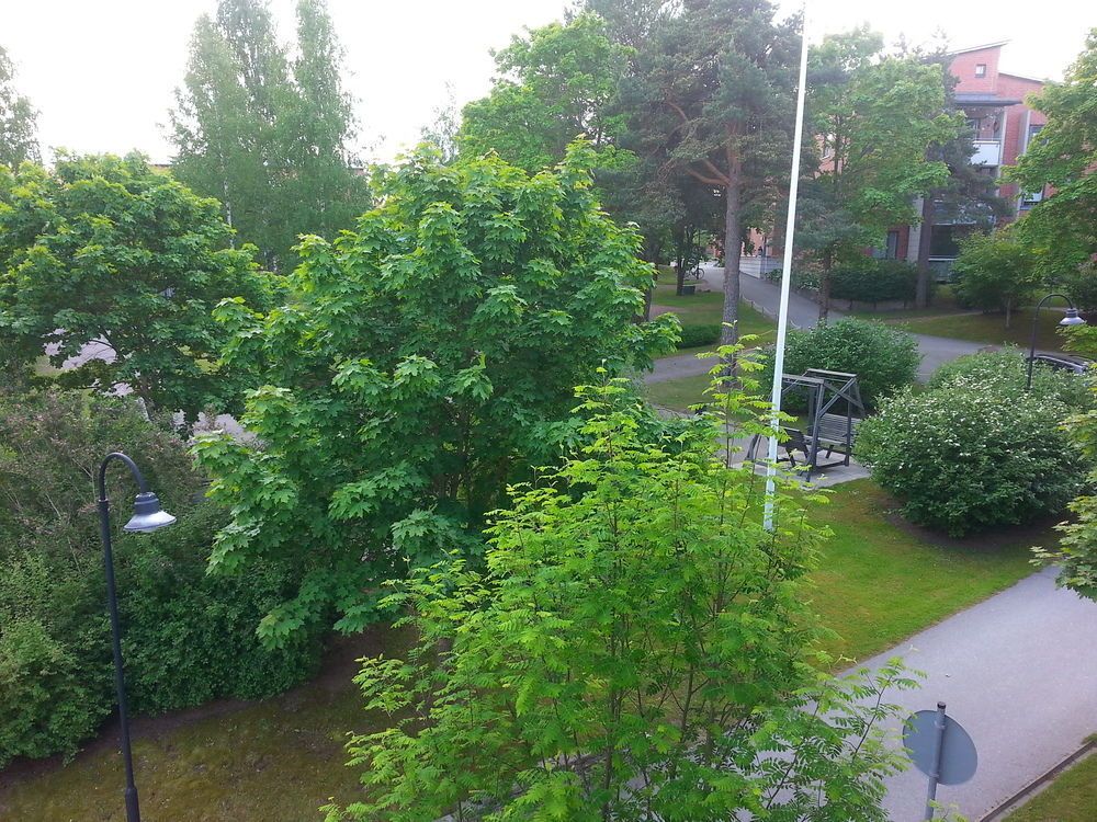 Outdoor Pictures 21