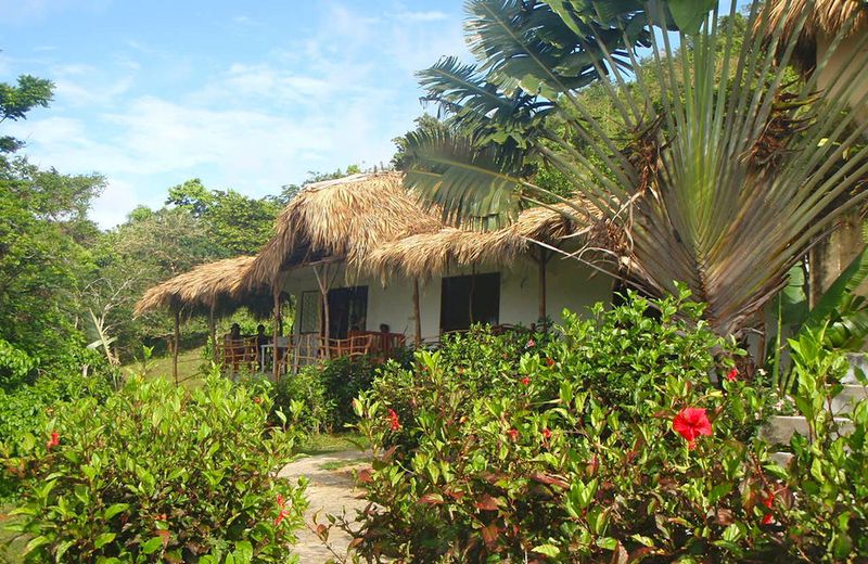 Jurassic Park Hotel
