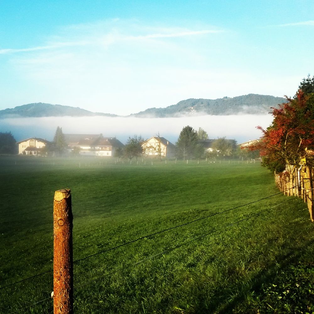 Outdoor Pictures 20