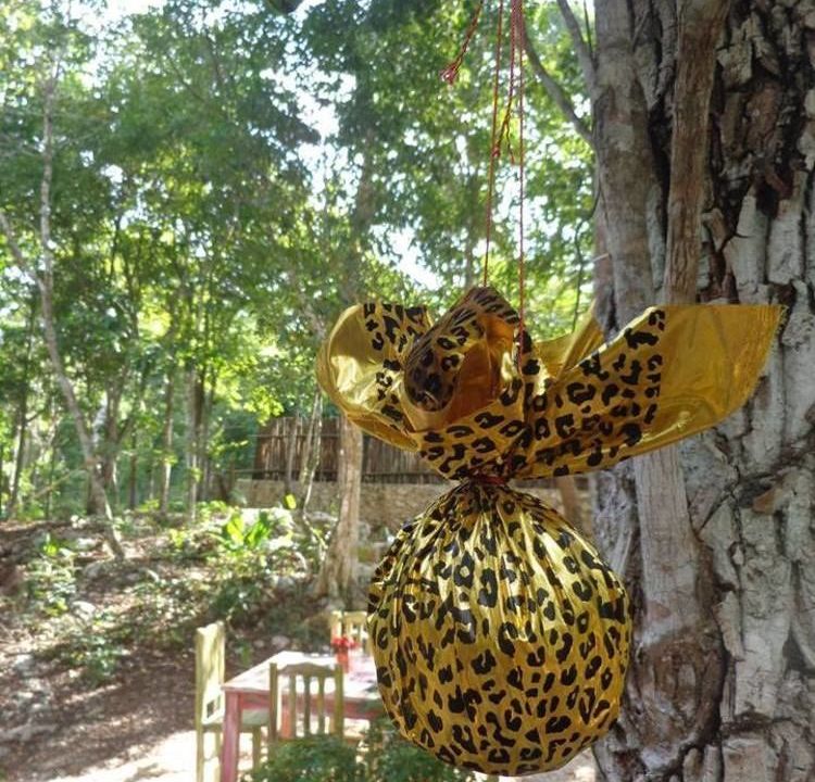 Casa Mango