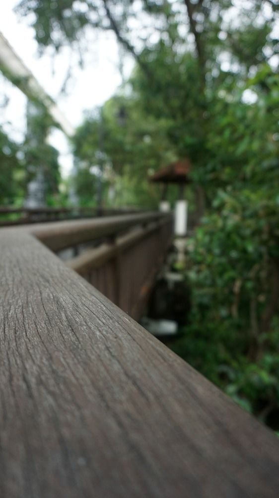 Outdoor Pictures 21