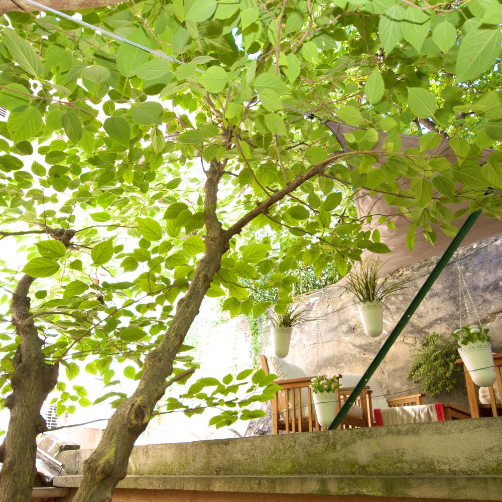 Outdoor Pictures 1