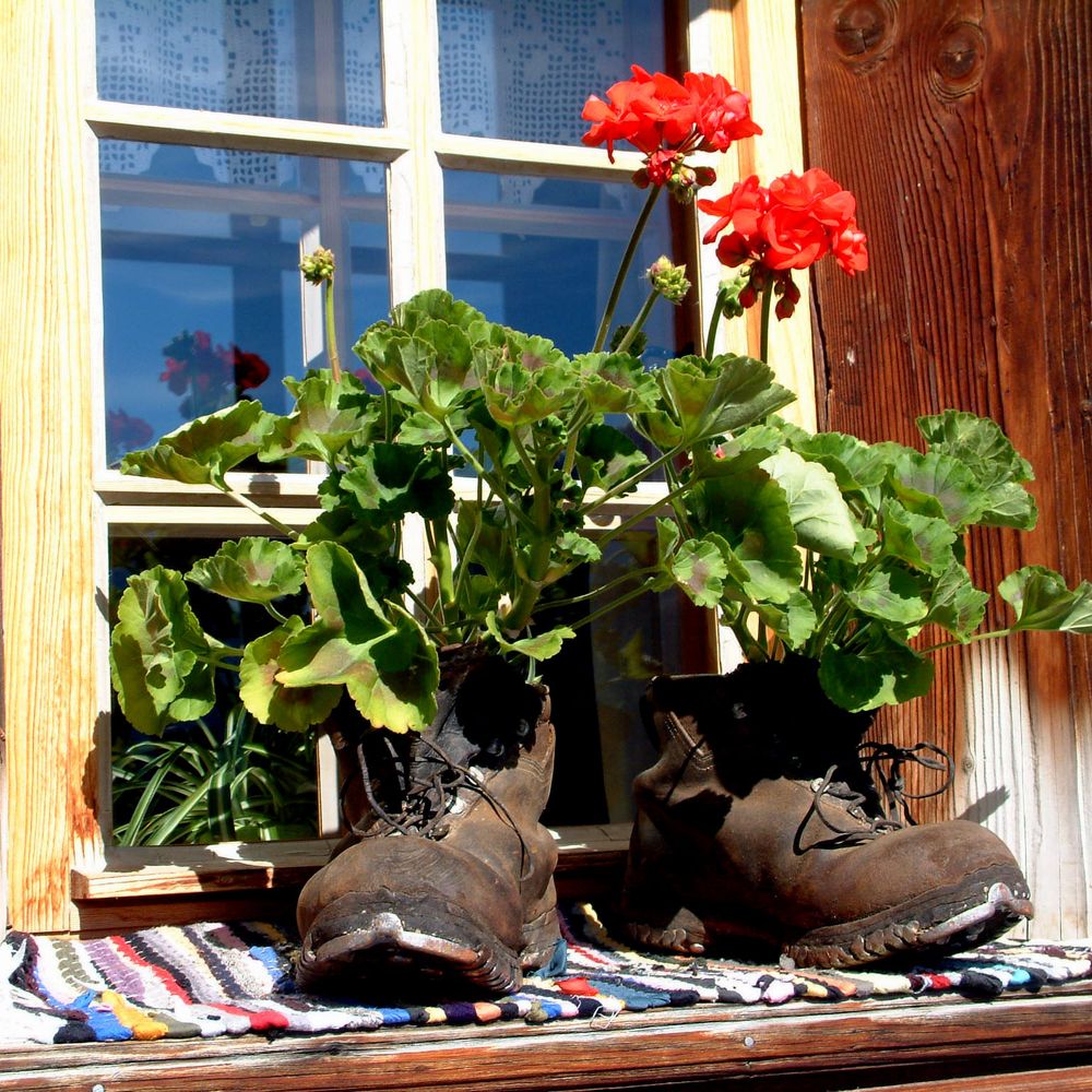 Outdoor Pictures 14