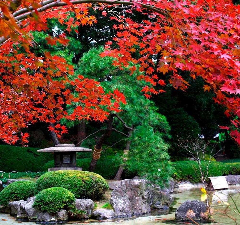 Outdoor Pictures 21