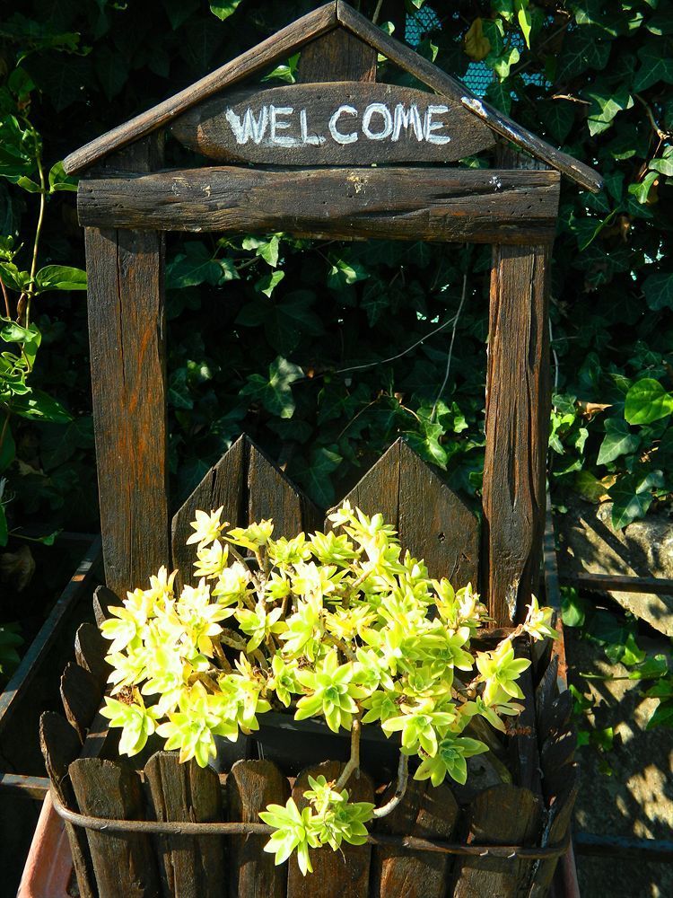 Outdoor Pictures 14