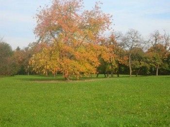 Outdoor Pictures 12