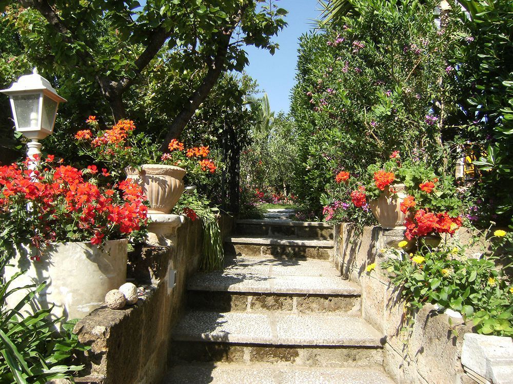 Outdoor Pictures 22