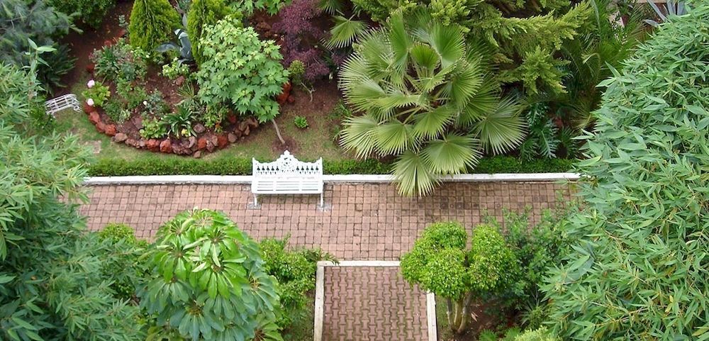 Outdoor Pictures 19