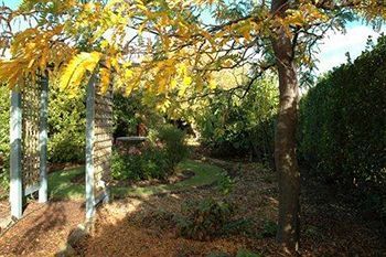Outdoor Pictures 19